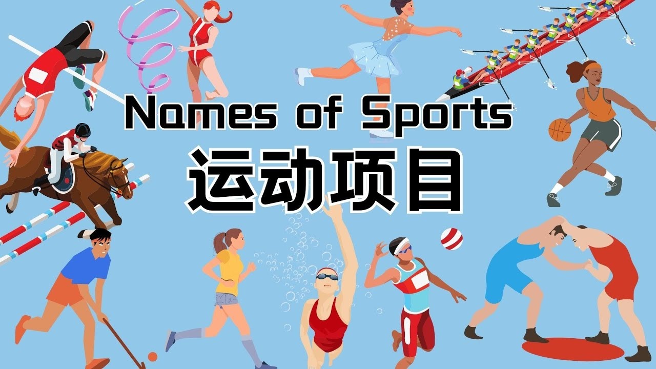 F1阿布扎比站第一练习：诺里斯最快，维斯塔潘紧随其后，勒克莱尔非第四